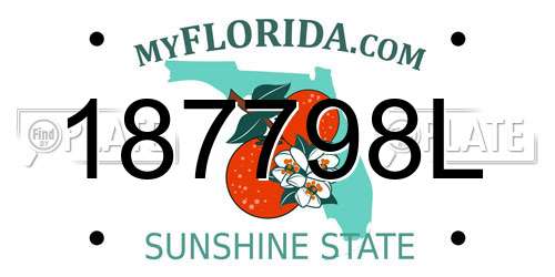 187798L Florida License Plate