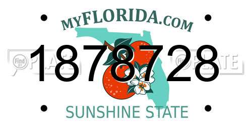 1878728 Florida License Plate