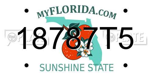 18787T5 Florida License Plate