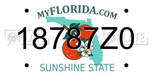 18787Z0 Florida License Plate