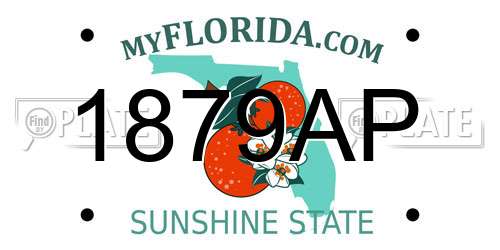 1879AP Florida License Plate
