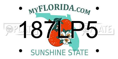 187LP5 Florida License Plate