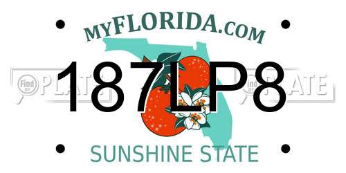 187LP8 Florida License Plate