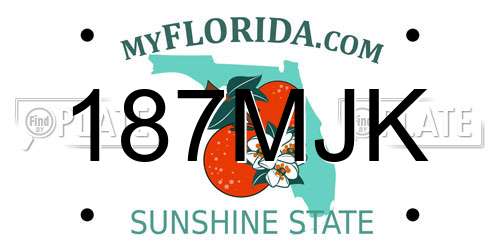 187MJK Florida License Plate
