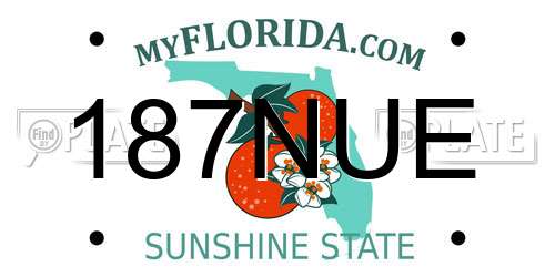 187NUE Florida License Plate