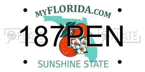 187PEN Florida License Plate