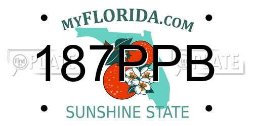 187PPB Florida License Plate