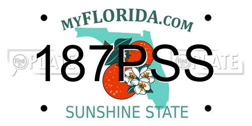 187PSS Florida License Plate