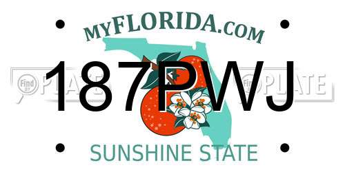 187PWJ Florida License Plate
