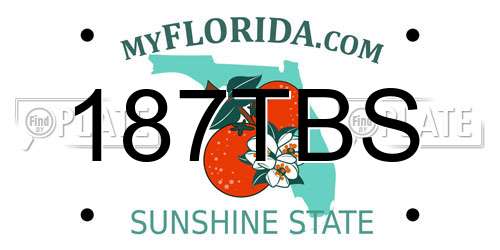 187TBS Florida License Plate