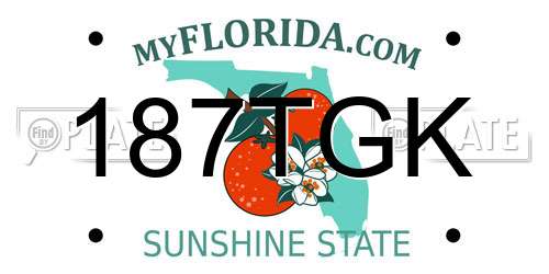187TGK Florida License Plate