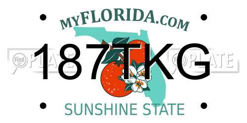 187TKG Florida License Plate