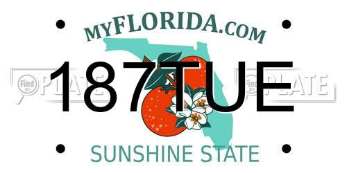 187TUE Florida License Plate
