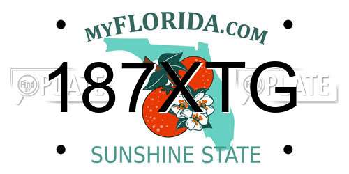187XTG Florida License Plate