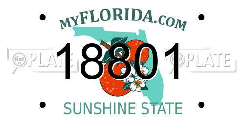 18801 Florida License Plate