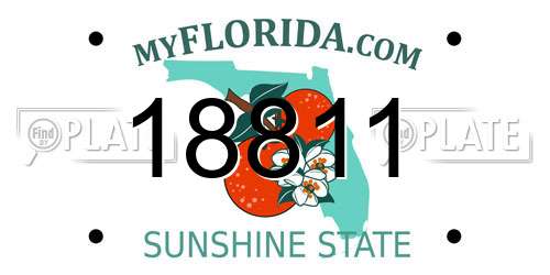 18811 Florida License Plate