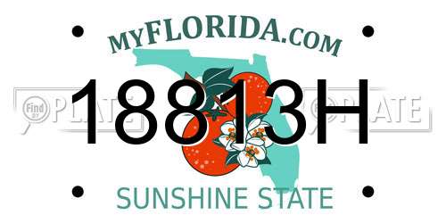 18813H Florida License Plate