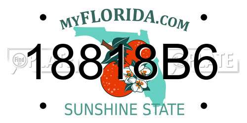 18818B6 Florida License Plate