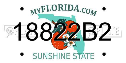 18822B2 Florida License Plate