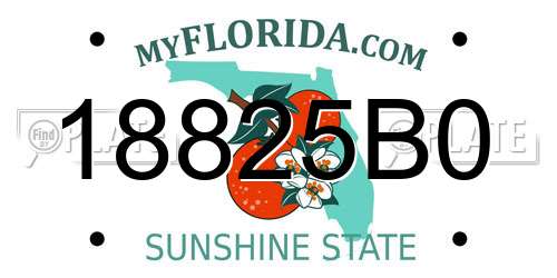 18825B0 Florida License Plate