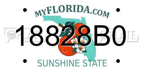 18828B0 Florida License Plate