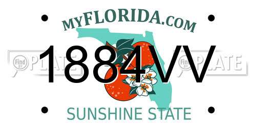 1884VV Florida License Plate
