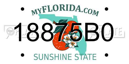 18875B0 Florida License Plate