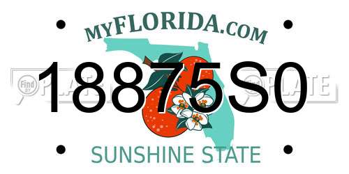 18875S0 Florida License Plate