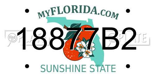 18877B2 Florida License Plate