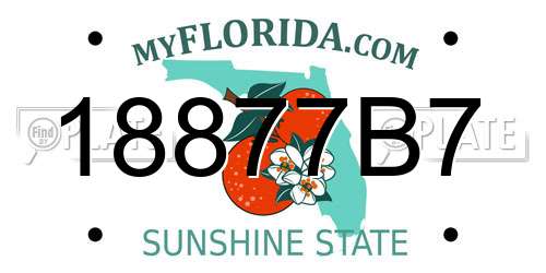 18877B7 Florida License Plate