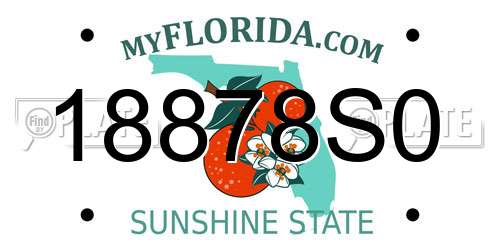 18878S0 Florida License Plate
