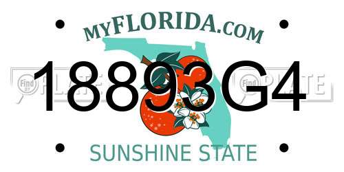 18893G4 Florida License Plate
