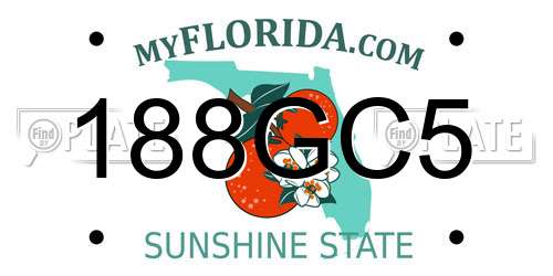 188GC5 Florida License Plate