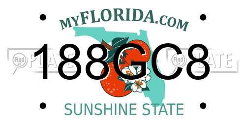 188GC8 Florida License Plate