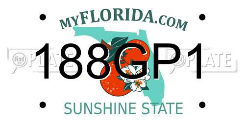188GP1 Florida License Plate