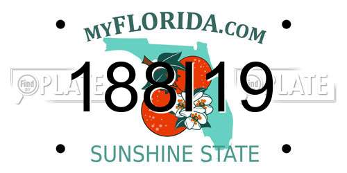 188I19 Florida License Plate