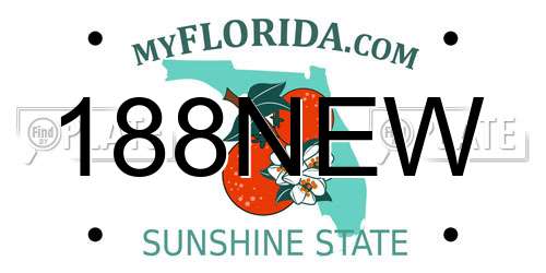 188NEW Florida License Plate