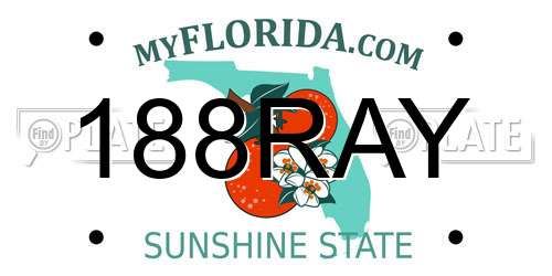 188RAY Florida License Plate