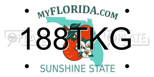 188TKG Florida License Plate