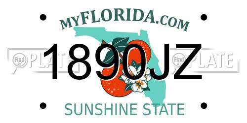 1890JZ Florida License Plate