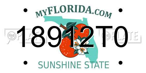 18912T0 Florida License Plate