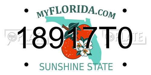 18917T0 Florida License Plate