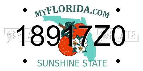18917Z0 Florida License Plate