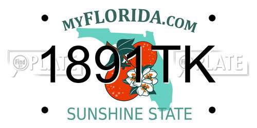 1891TK Florida License Plate