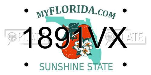 1891VX Florida License Plate
