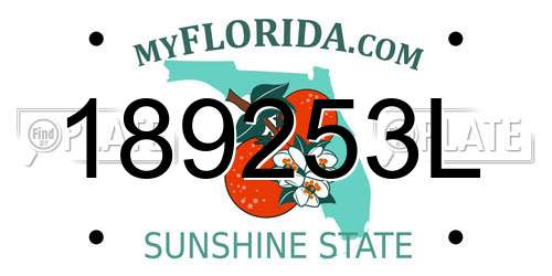 189253L Florida License Plate