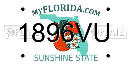 1896VU Florida License Plate