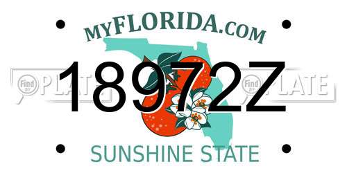 18972Z Florida License Plate