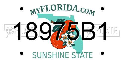 18975B1 Florida License Plate