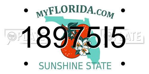 18975I5 Florida License Plate